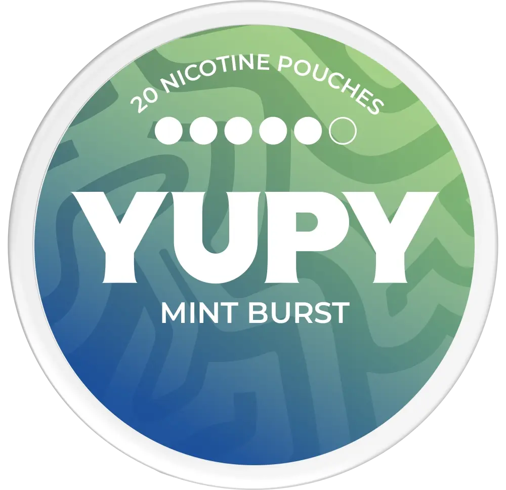 YUPY Mint Burst Bold