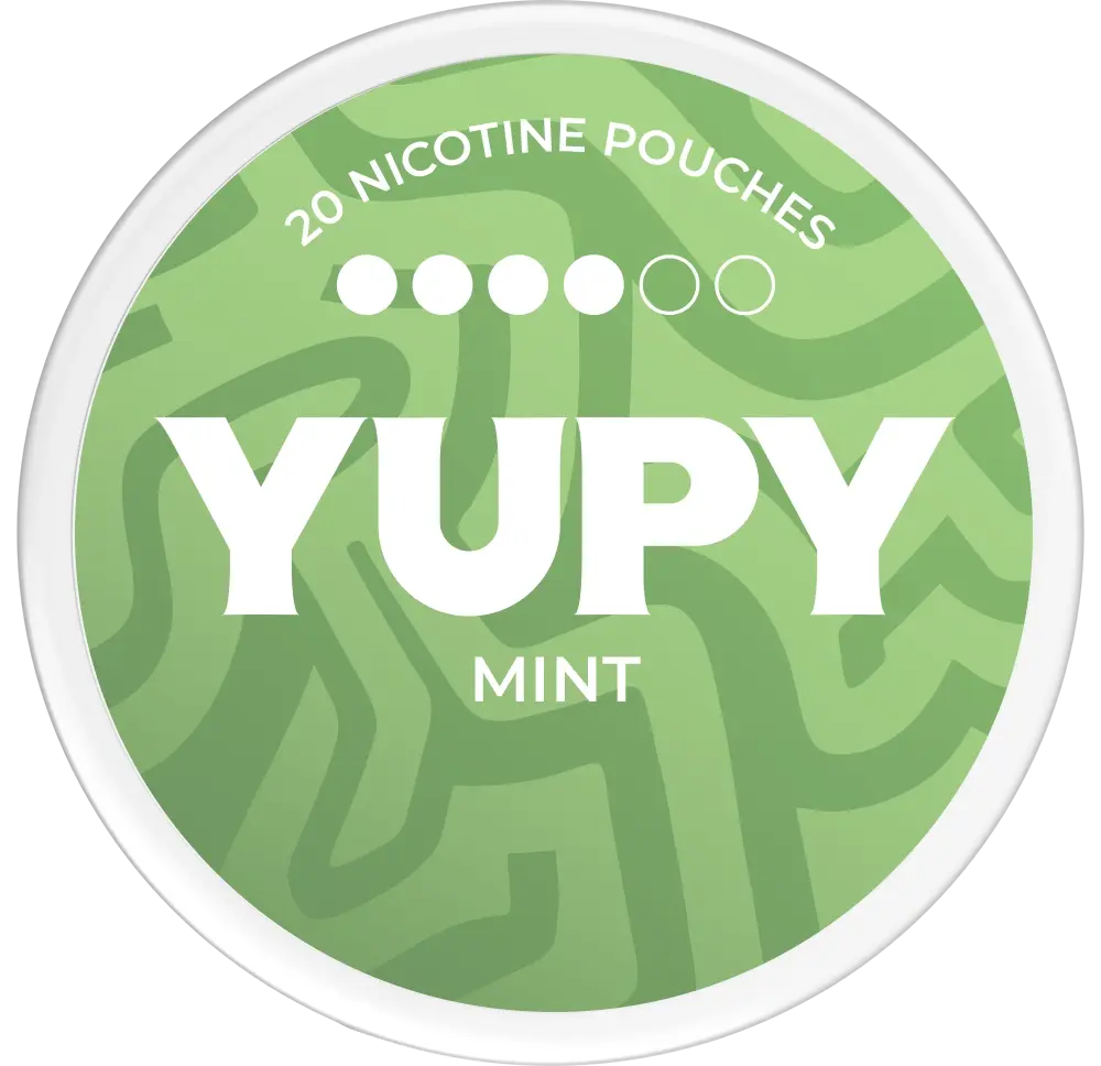 YUPY Mint Bold