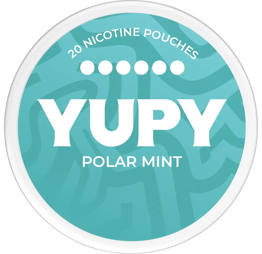 YUPY Polar Mint Bold